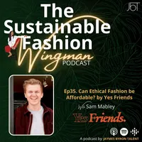 The Sustainable Fashion Wingman artwork