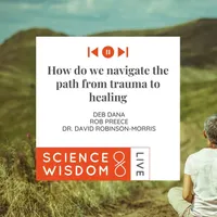 Science & Wisdom LIVE artwork
