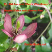 Garden Basics with Farmer Fred artwork