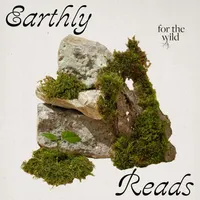 For The Wild artwork
