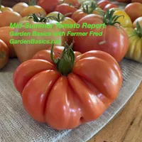 Garden Basics with Farmer Fred artwork