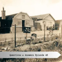 The Old Front Line artwork