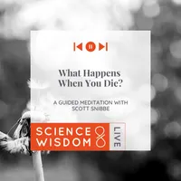Science & Wisdom LIVE artwork