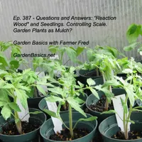 Garden Basics with Farmer Fred artwork
