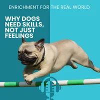 Enrichment for the Real World artwork