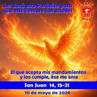 Evangelio del día artwork