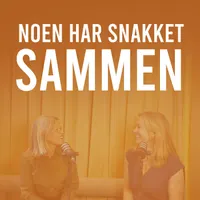 Noen har snakket sammen artwork