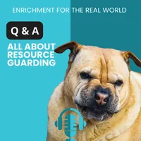 Enrichment for the Real World artwork