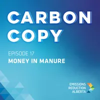 Carbon Copy artwork