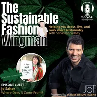The Sustainable Fashion Wingman artwork