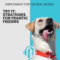 Enrichment for the Real World artwork