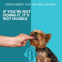 Enrichment for the Real World artwork
