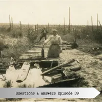 The Old Front Line artwork