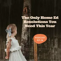 The Life Without School Podcast artwork