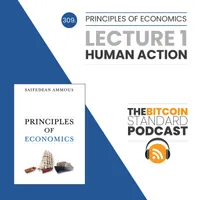 The Bitcoin Standard Podcast artwork