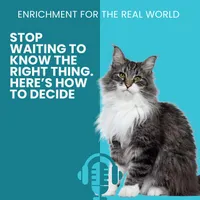 Enrichment for the Real World artwork