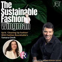 The Sustainable Fashion Wingman artwork