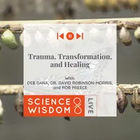Science & Wisdom LIVE artwork
