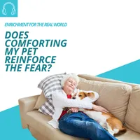 Enrichment for the Real World artwork