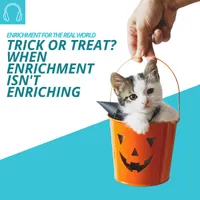 Enrichment for the Real World artwork