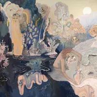 For The Wild artwork