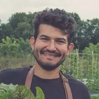 Investing in Regenerative Agriculture and Food artwork