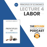 The Bitcoin Standard Podcast artwork