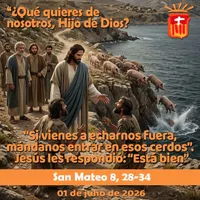 Evangelio del día artwork