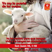 Evangelio del día artwork