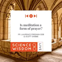 Science & Wisdom LIVE artwork