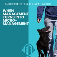 Enrichment for the Real World artwork