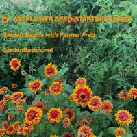 Garden Basics with Farmer Fred artwork