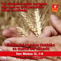 Evangelio del día artwork