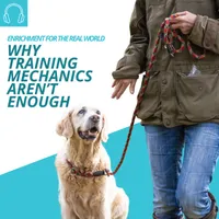 Enrichment for the Real World artwork