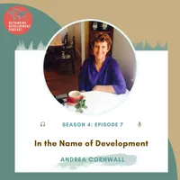 Rethinking Development Podcast artwork