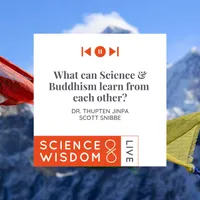 Science & Wisdom LIVE artwork