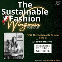 The Sustainable Fashion Wingman artwork