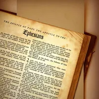 The Bible Project Daily Podcast artwork