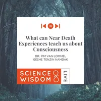 Science & Wisdom LIVE artwork