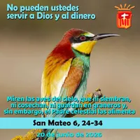 Evangelio del día artwork