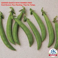 Garden Basics with Farmer Fred artwork