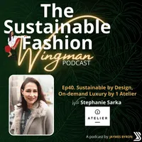 The Sustainable Fashion Wingman artwork