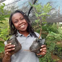 Investing in Regenerative Agriculture and Food artwork