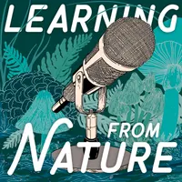 Learning from Nature: The Biomimicry Podcast with Lily Urmann artwork