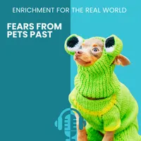 Enrichment for the Real World artwork