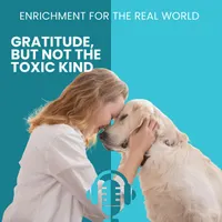 Enrichment for the Real World artwork
