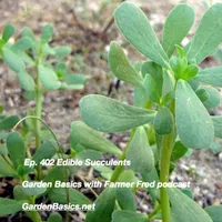 Garden Basics with Farmer Fred artwork