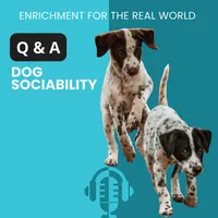 Enrichment for the Real World artwork