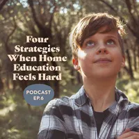The Life Without School Podcast artwork