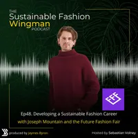 The Sustainable Fashion Wingman artwork
